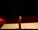 Lo spinello (the joint)