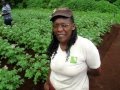 Interview with Martha Musyoka, scientist and field trial manager