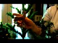Collecting Antique Christmas Figures : Collecting Putz Christmas Figures Collecting Antique Christmas Figures : Collecting Putz Christmas Figures