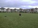 Kite Slide