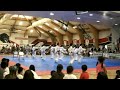 2007 North Korean Tae Kwon Do Demo - Dan-Gun