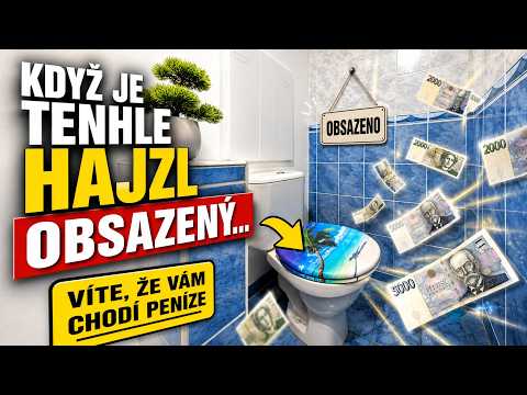 Video Prodej bytu 2+1, 59 m², Chomutov