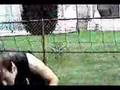 Luau Music Video