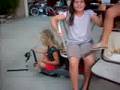 videos de OMG! THE NEXT RACECAR!!