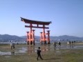 hiroshima miajima