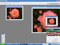 INTRO PS 10 Image and Canvas