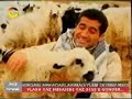 Aydin Aydin - Kuzularin Sesi, Meeeeeeeee