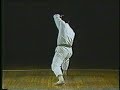 Kata Bassai Dai
