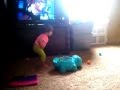My baby had MADD dance skills but won't walk..with..lol
