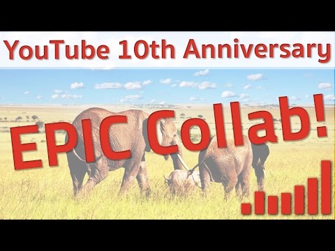 YouTube 10th Anniversary Collab: 10 Years of Me At The Zoo item-thumbnail