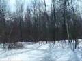 Snow-riding-on-dirt-