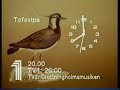 TV1-klocka 1986-02-12