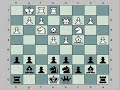 Unusual Opening: The Hippo! (variation of B06)