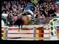 Horse fall 2