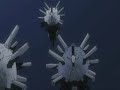 D.Gray-man