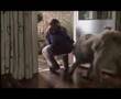 C�o-valo