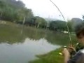 memancing ikan patin