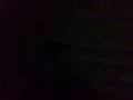 videos de zik de la pak....