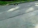The Fastest RC Cars The Fastest RC Cars
