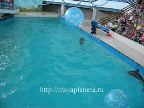 YouTube Трейлер