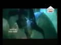  - MovieZen Video