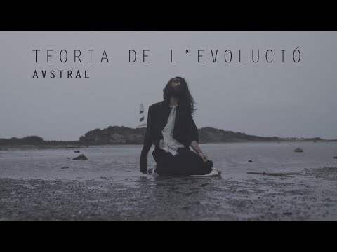 Imatge de previsualització de YouTube