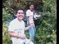 vacaciones del anemias