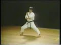 Martial Arts Video