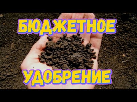 Как своими руками сделать удобрения для аквариумных растений Как своими руками сделать удобрения для аквариумных растений