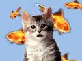 gattino
