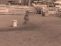 Barrel Racing (Request) Barrel Racing (Request)