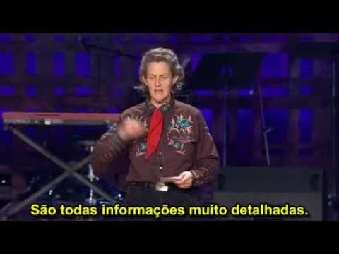 Imagem de Amostra do You Tube