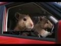 Kia Soul (Hamster) Commercial