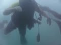 margo scuba diving