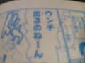 かめはめ波をうってみた