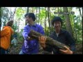 Team ECO Work!102 ECO project ?? ACTION IN ????????????