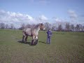Mieke 16 april