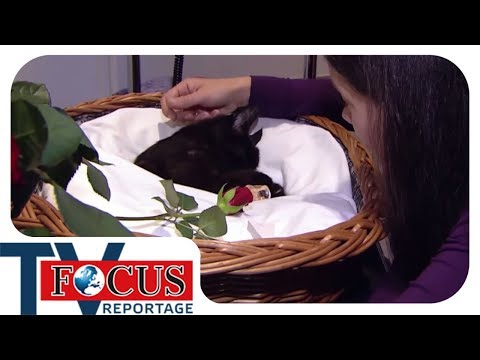 Liebe bis zum Ende – Das Geschäft mit Fiffis Tod - Fo ...