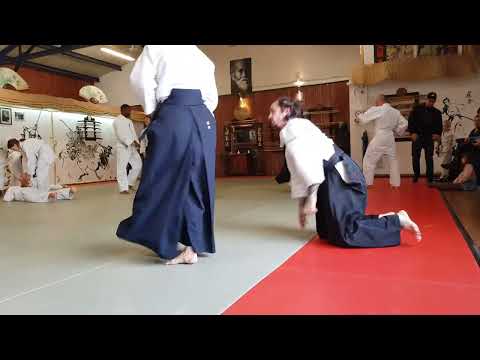 05 SUGA 02510125 Gemersheim Tanto