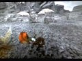 Smashing and Bashing with Hammer Smashing and Bashing with Hammer