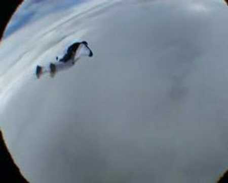 Aldrik Wingsuit Jump  @ Paraclub ...