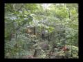 Zipline