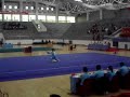 china wushu competition 2008 in weifang university of science and technology, shouguang city. on this video you can see the ??? (t�ij�qu�n) champion - liu ying.