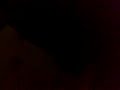 Drunken Hedge Jump
