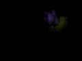 DJ FLYMAN  MONTAGEM AO VIVO NO MAESTRO HALL PARTE 1