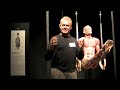 TMJ and your Kinetic Chain