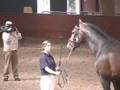 Bekijk video