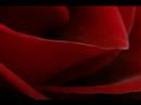 Motion Graphic _ Yeji Kim_by Br.