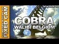Cobra - OnRide - Walibi Belgium (ECAM)