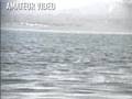Turkish Lake Monster